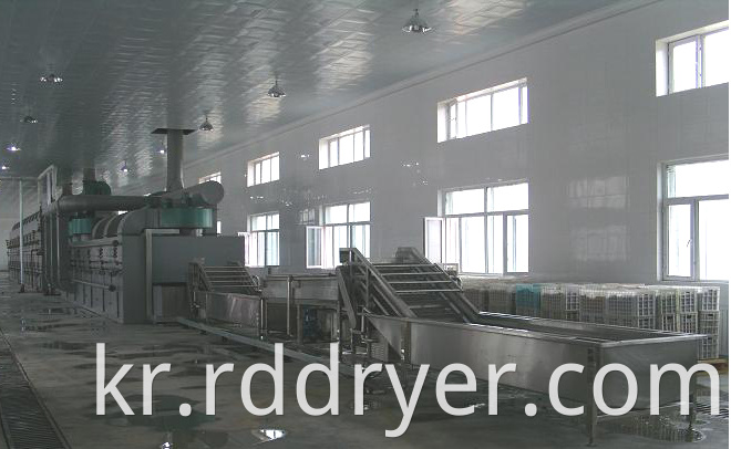 Mushroom Dryer Machine/drying machine